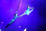 a IMG_0071.jpg
